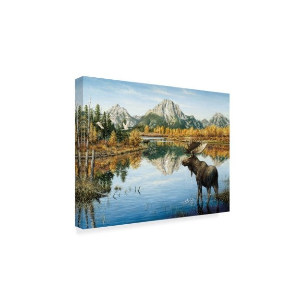 Jeff Tift 'Bull Moose' Canvas Art,18x24